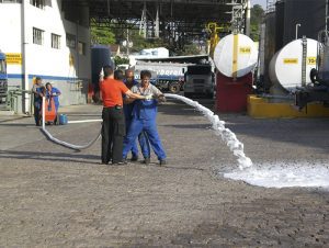 Sem Titulo 1 0007 BRIGADA DE INCENDIO 19 1 300x226 - Quem somos